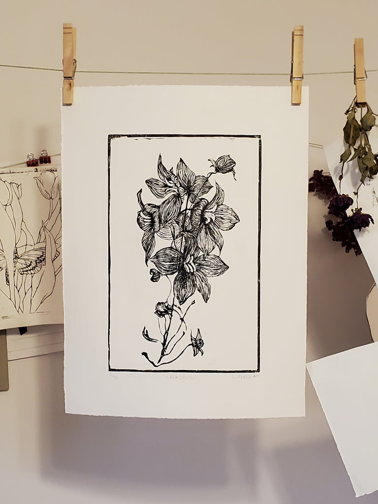 Larkspur